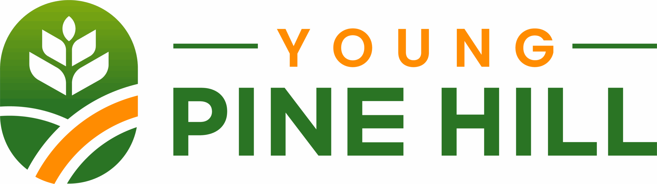 Young Pine Hill